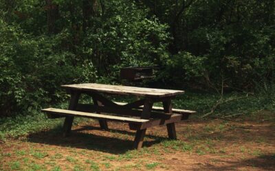 How Hardwood Picnic Benches Handle Wet Weather