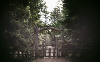 Wooden Arched Gates That Match Autumn Landscaping