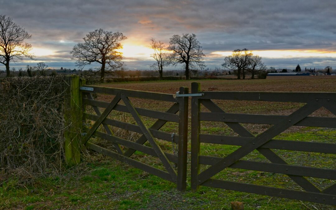 field gate