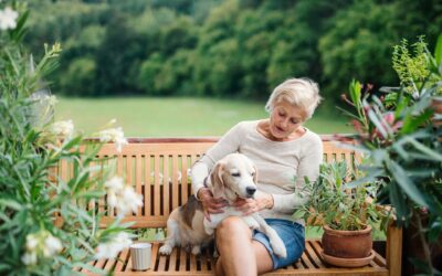 Why Small Memorial Benches Suit Transitional Gardens