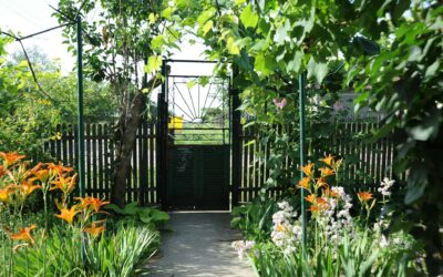 What Matters Most in Choosing Hardwood Gate Posts